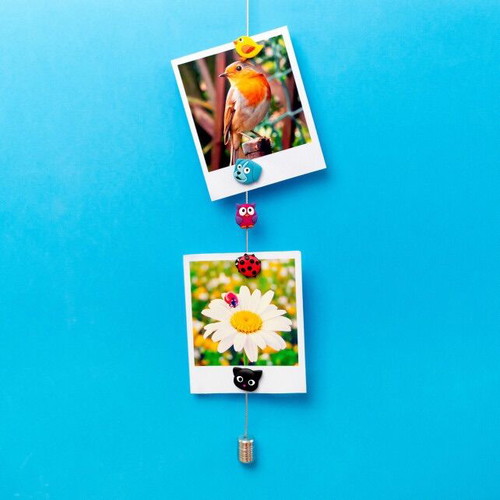 Photo holder cable and magnets - Magnetic Cable