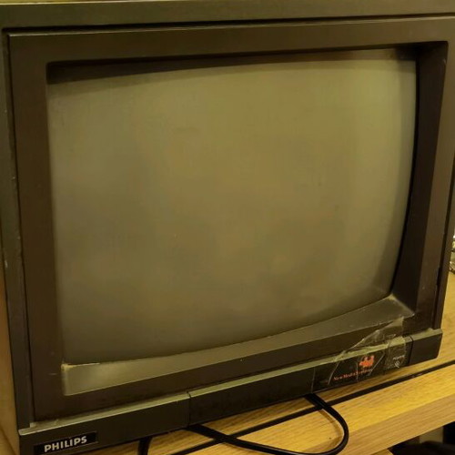 Philips VS0080/00 used RGB monitor 15Hz with speakers and Scart