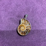 Ammonite pendant new