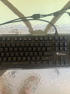 Genesis thor200 mechanical keyboard used with minor lighting issue