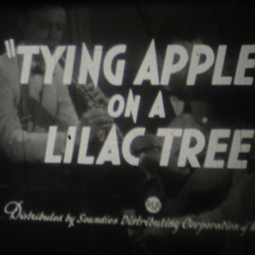 16mm film used "Tying Apples on a Lilac Tree" with The King Sisters