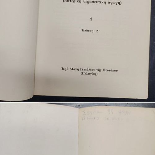 Orthodox Psychotherapy book