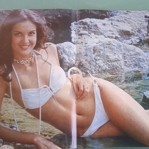 Fantazio magazine used