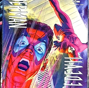 MARVEL COMICS ΞΕΝΟΓΛΩΣΣΑ DAREDEVIL/SPIDER-MAN (2000)