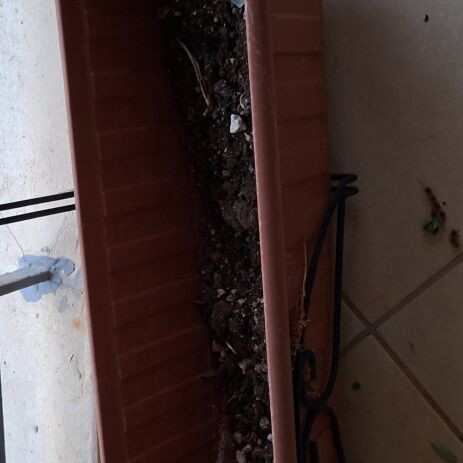 Terracotta planter with metal stand set