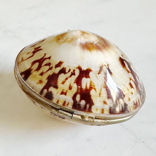 Vintage French Coin Purse Handmade Natural Shell Metal used
