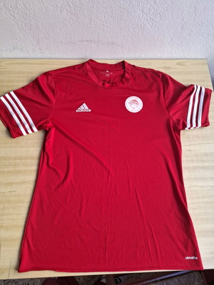 Φανέλα Ολυμπιακού βόλεϊ συλλεκτική, σαν καινούργιο με υπογραφές 2015-2016