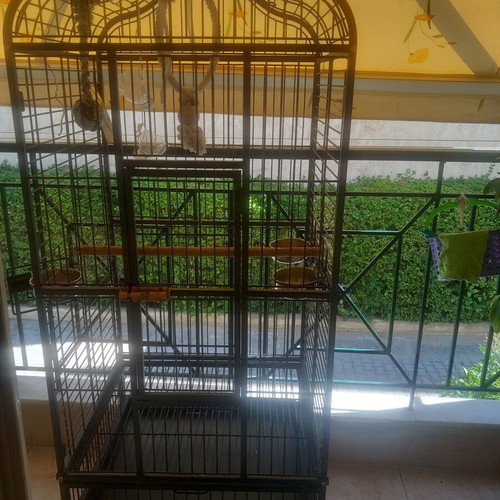 Parrot Cage new 1.50 × 0.60
