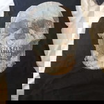  Vans μπλούζα