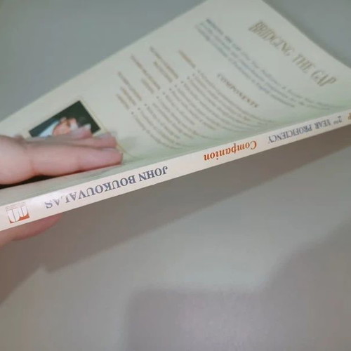 Bridging the Gap 2nd Year Proficiency CPE Companion like new