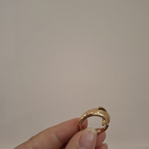 Dolphin ring used, gold color