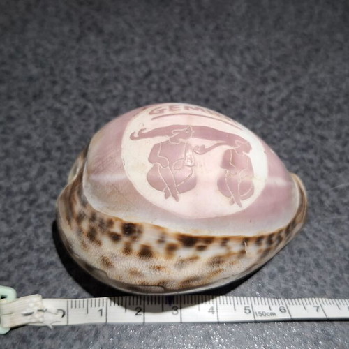 Tiger Cowrie shell used, handcarved Gemini zodiac decoration