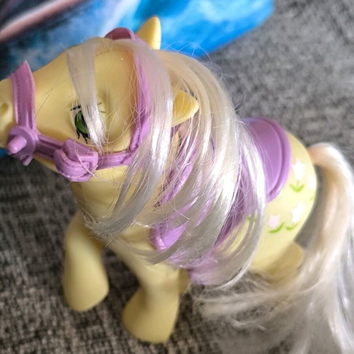 My Little Pony G1 '84 used with accessories