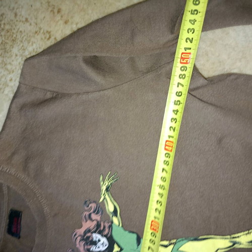 Zara long-sleeve shirt brown like new, size large with Phoenix figure