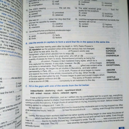 Companion Book like new, English