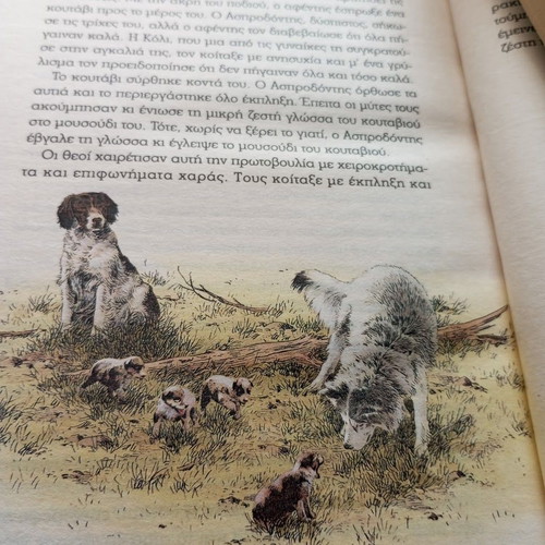 White Fang Jack London new, children's literature