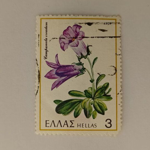 Greek Stamp 1978 Campanula Oreadum like new