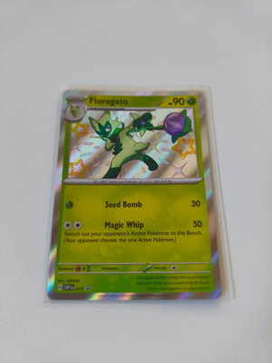 Pokemon Floragato SV Black Star Promos card new