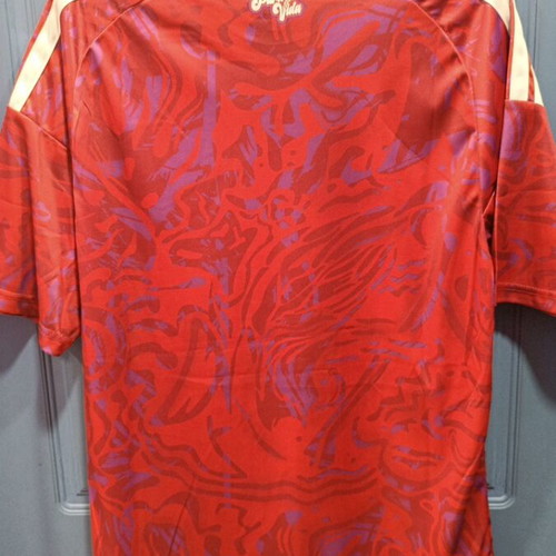 Adidas Costa Rica jersey