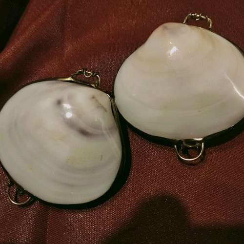 Pair of vintage shell cases like new made of natural shell with metal frame