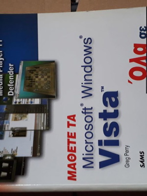 Learn Microsoft Windows Vista All-in-One used book