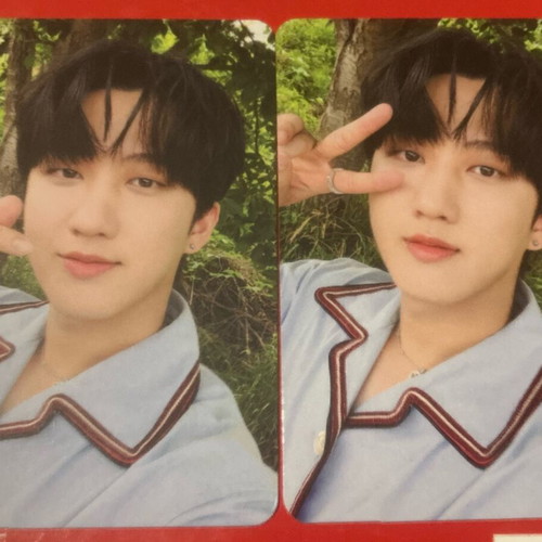 Stray Kids 2022 membership photocards like new