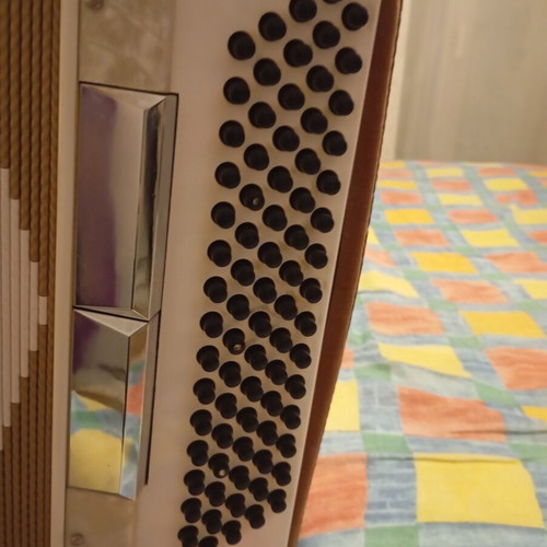 Brandoni accordion new, 80 bass, Italian