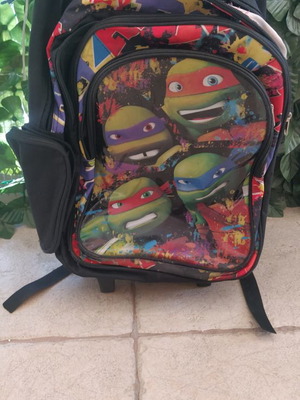 Teenage Mutant Ninja Turtles trolley bag used