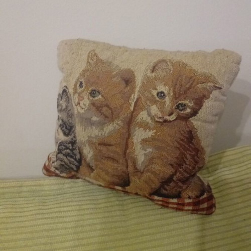 Small decorative pillow with kittens like new, 17×17