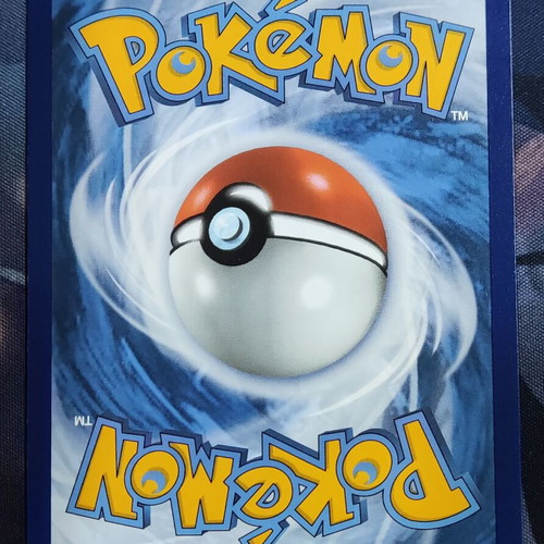 Lileep Illustration Rare Stellar Crown Pokemon card