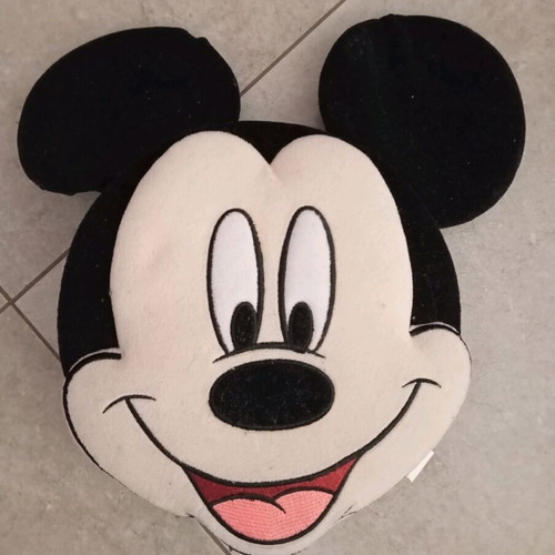 Mikey photo album like new, holds 100 photos