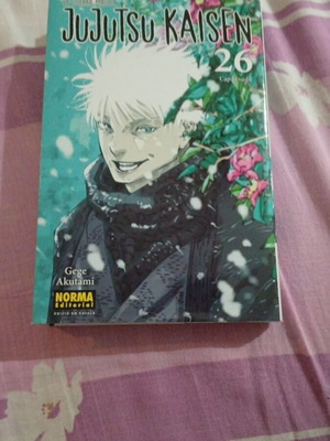 Jujutsu Kaisen Manga Volume 26 like new