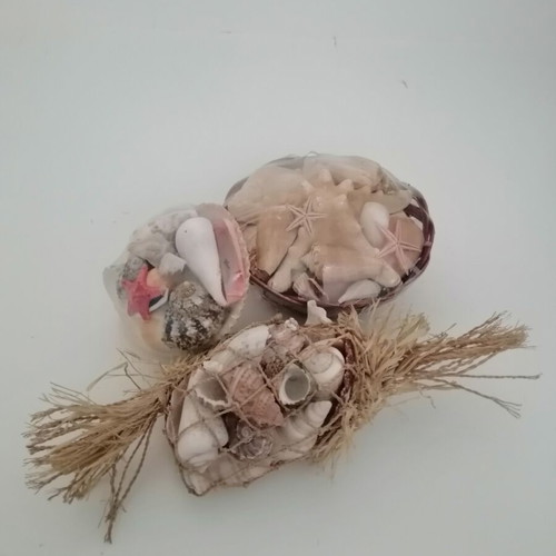 Decorative seashells set with bamboo basket and natural shells