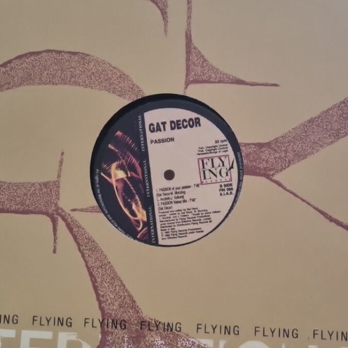 Vinyl record Gat Decor Passion used