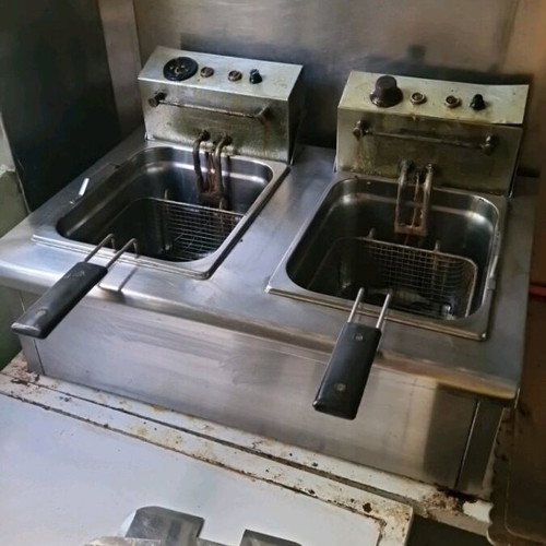 Professional double fryer used