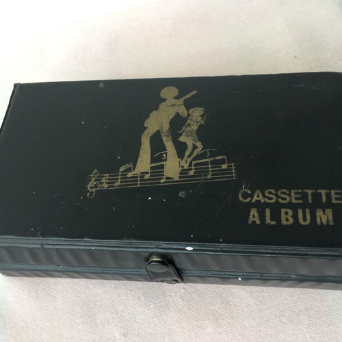 Cassette case with 12 slots handheld