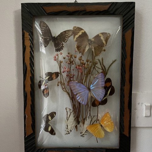 Vintage wooden frame with butterflies and dried flowers, antique wall art