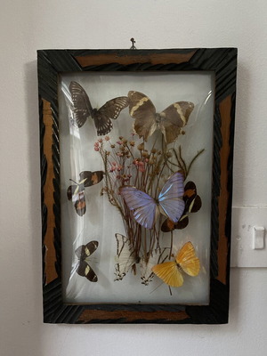 Vintage wooden frame with butterflies and dried flowers, antique wall art