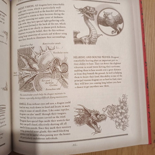 drake's compendium of dragonology