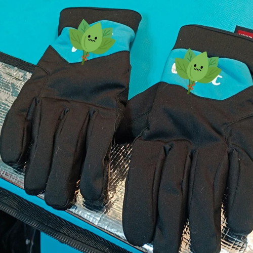 Delivery gloves Wolt