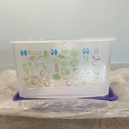 Tupperware Smart Cooling Container 1lt new