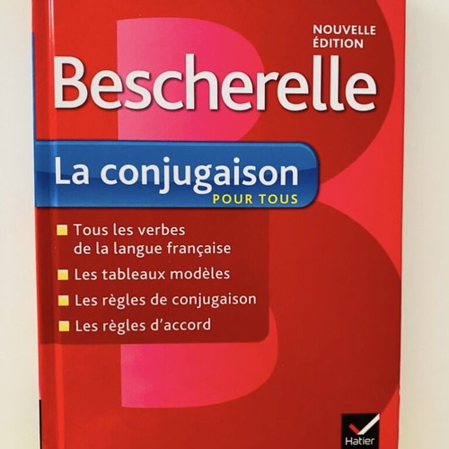 French verbs book like new