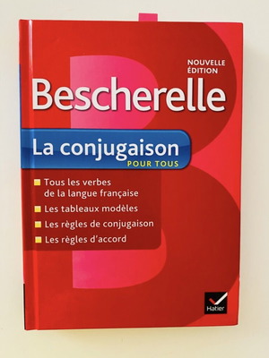 French verbs book like new