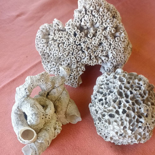 Set of 3 Authentic Marine Decor Corals