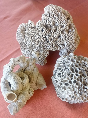 Set of 3 Authentic Marine Decor Corals