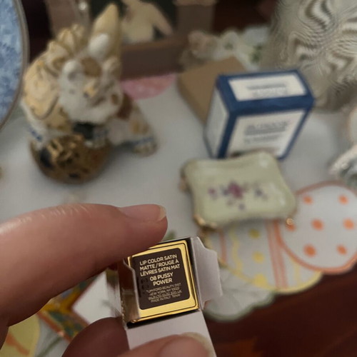 Tom Ford Lipstick pussy power new