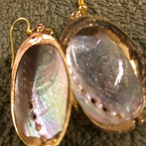 Abalone shell earrings