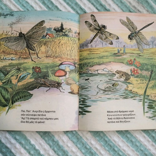 Companionship with Insects children's book in good condition
