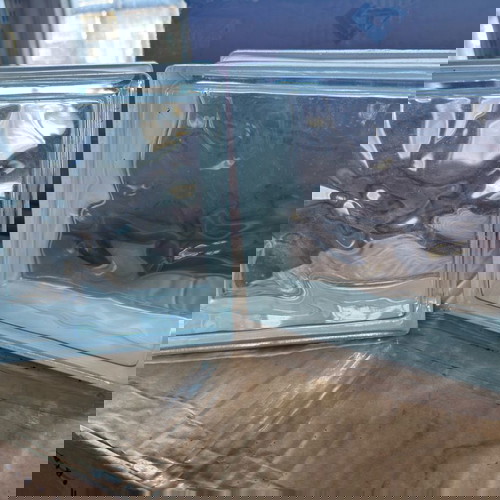 Υαλότουβλα Mulia glass block wave καινούργια