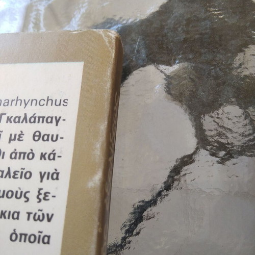 O Darvinos & The Theory Of Evolution by Nikolaos A Vasileiadis used
